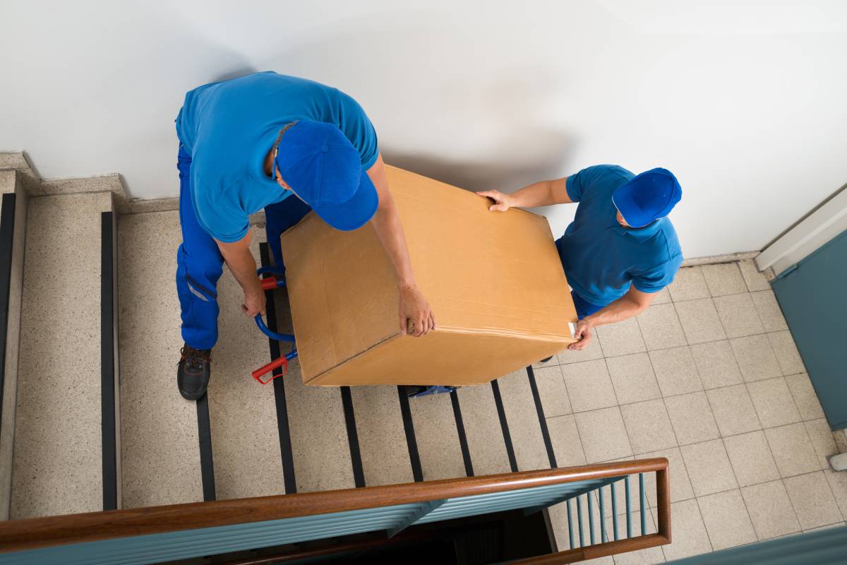 Zwei männliche Mover, die mit Kasten auf Treppe nach unten gehen
